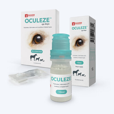 Oculeze Web Image